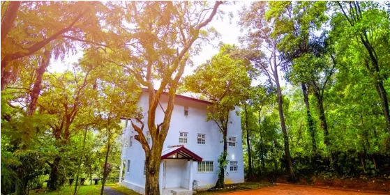Belihuloya Holiday Home